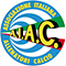 Associazione italiana allenatori calcio