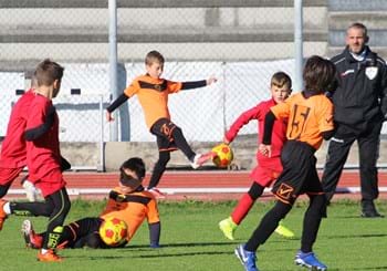 Festa scuole calcio
