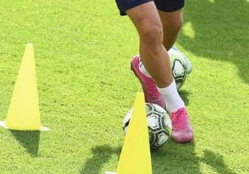 Riunioni programmatiche dell'Attività di Base per la stagione sportiva 2021/22