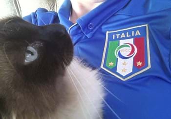 My Pet Cheer for Italy (12 giu 2014)