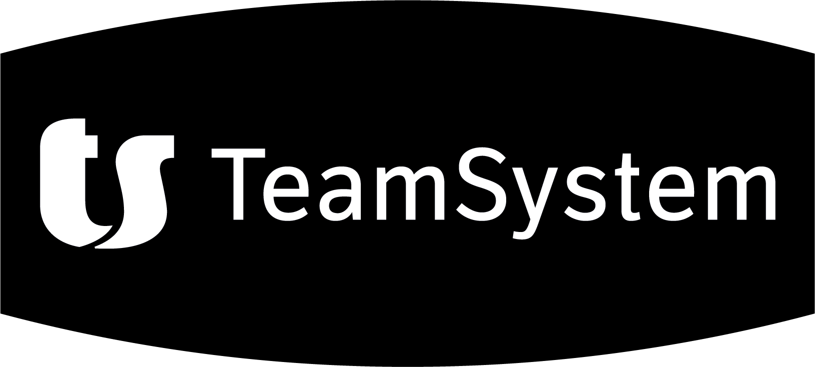 Team System