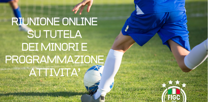 Riunione online su tutela dei minori e programmazione attività