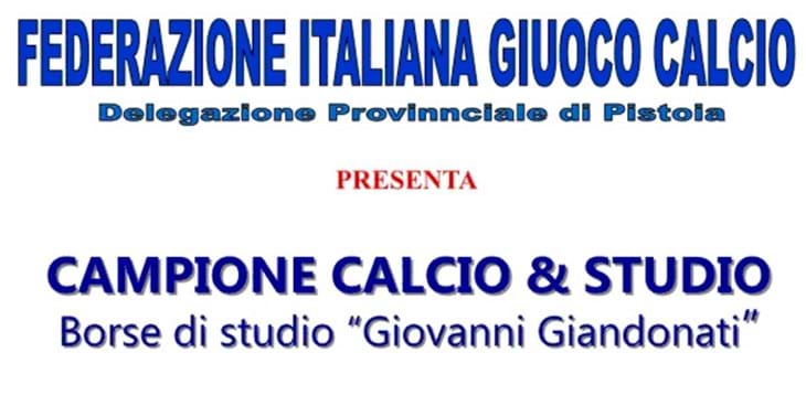 Campione calcio&studio: borse di studio Giovanni Giandonati.