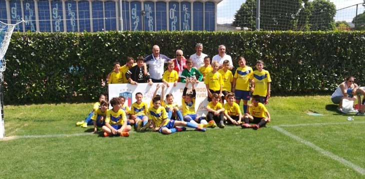 Grassroots Pulcini c5